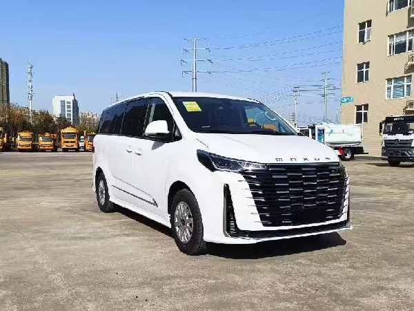 大通G10 自動(dòng)擋檢測(cè)車(chē)(商務(wù)版)